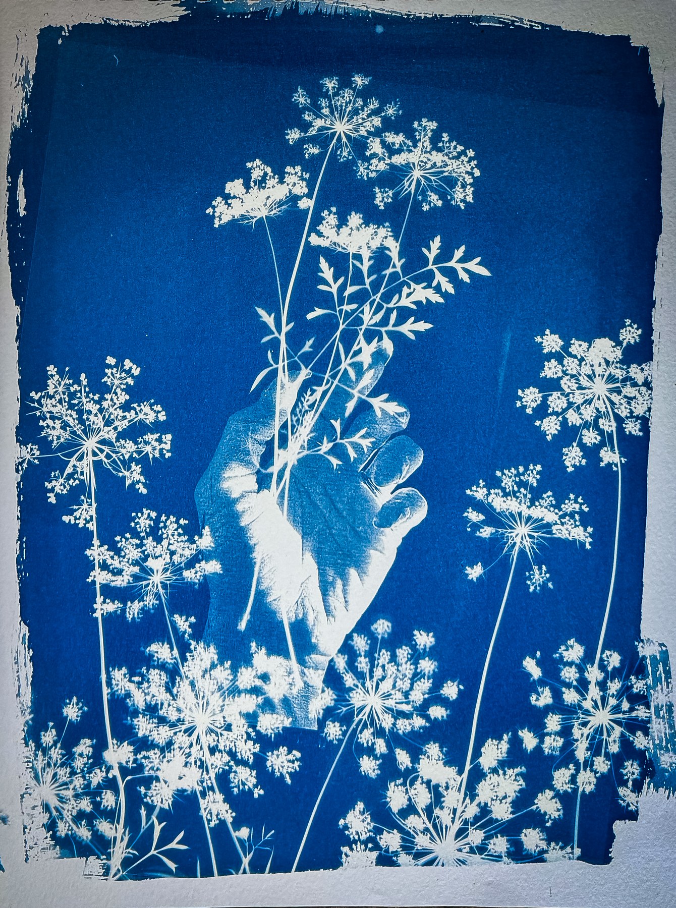 The finished cyanotype print in deep Prussian blue after washing